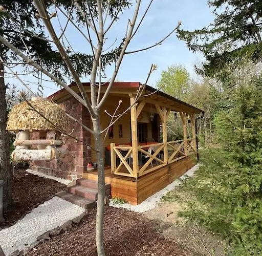 Shack 鲍洛托努德沃里