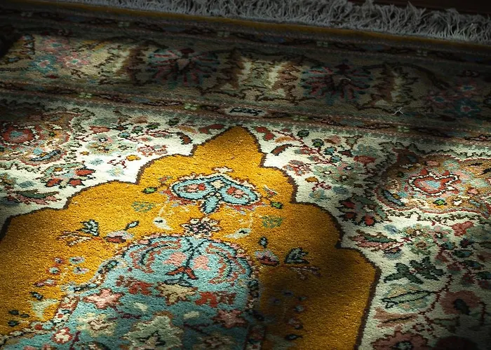 Shack * 鲍洛托努德沃里